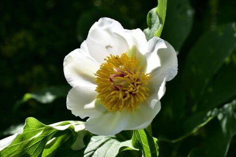 103834254_3305923396099266_1446649370782693756_n