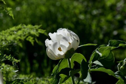 104104004_3305923382765934_432905370245302184_n