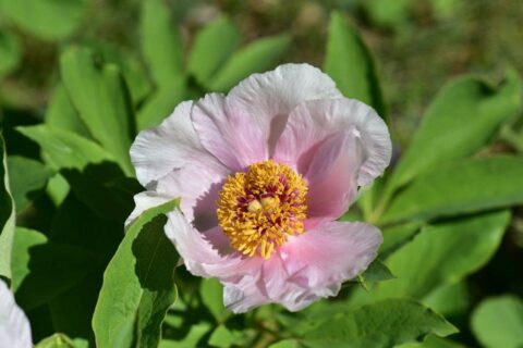 104183193_3305901942768078_4547426157057823969_n