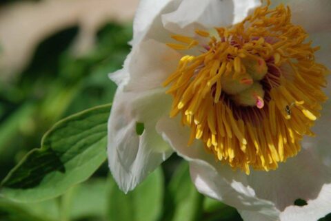 104374439_3305907146100891_3635066929613435644_n