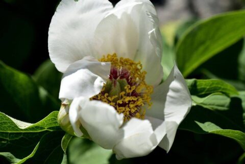 104412358_3305923616099244_4684381625731675117_n