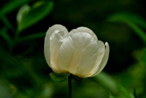 104416918_3305911459433793_9037561290005355144_n