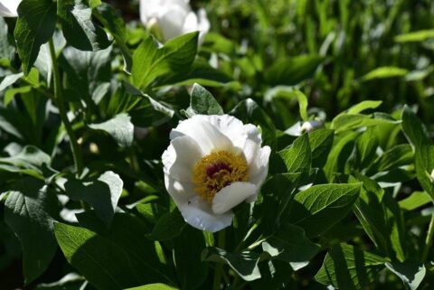 104426104_3305923399432599_7785929707718448365_n