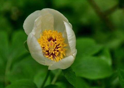 83408537_3305911526100453_4769846636806751768_n