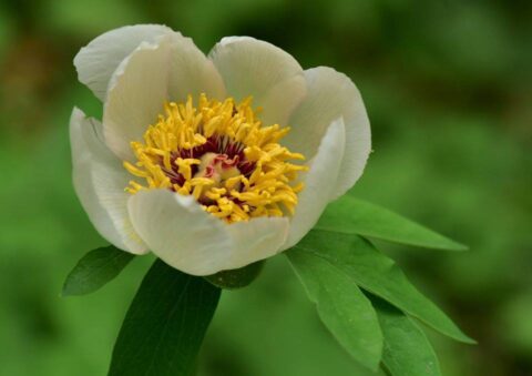 83562881_3305911499433789_1862299688193839890_n