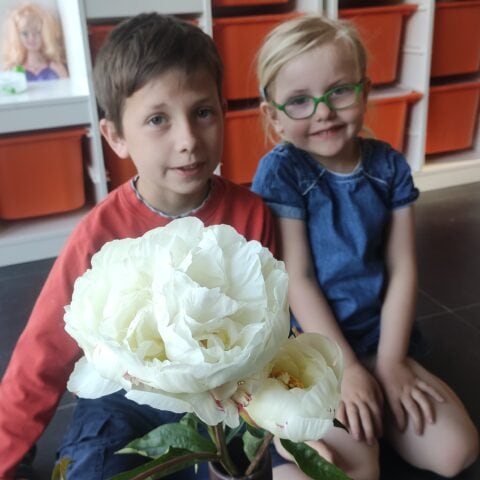 Mieke Bral Peony Mieke Bral