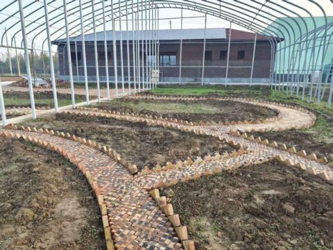 Scholten Luxury Peonies China Showgarden