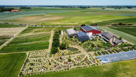 The Tetzlaff nursery
