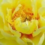 Profile picture of Erik