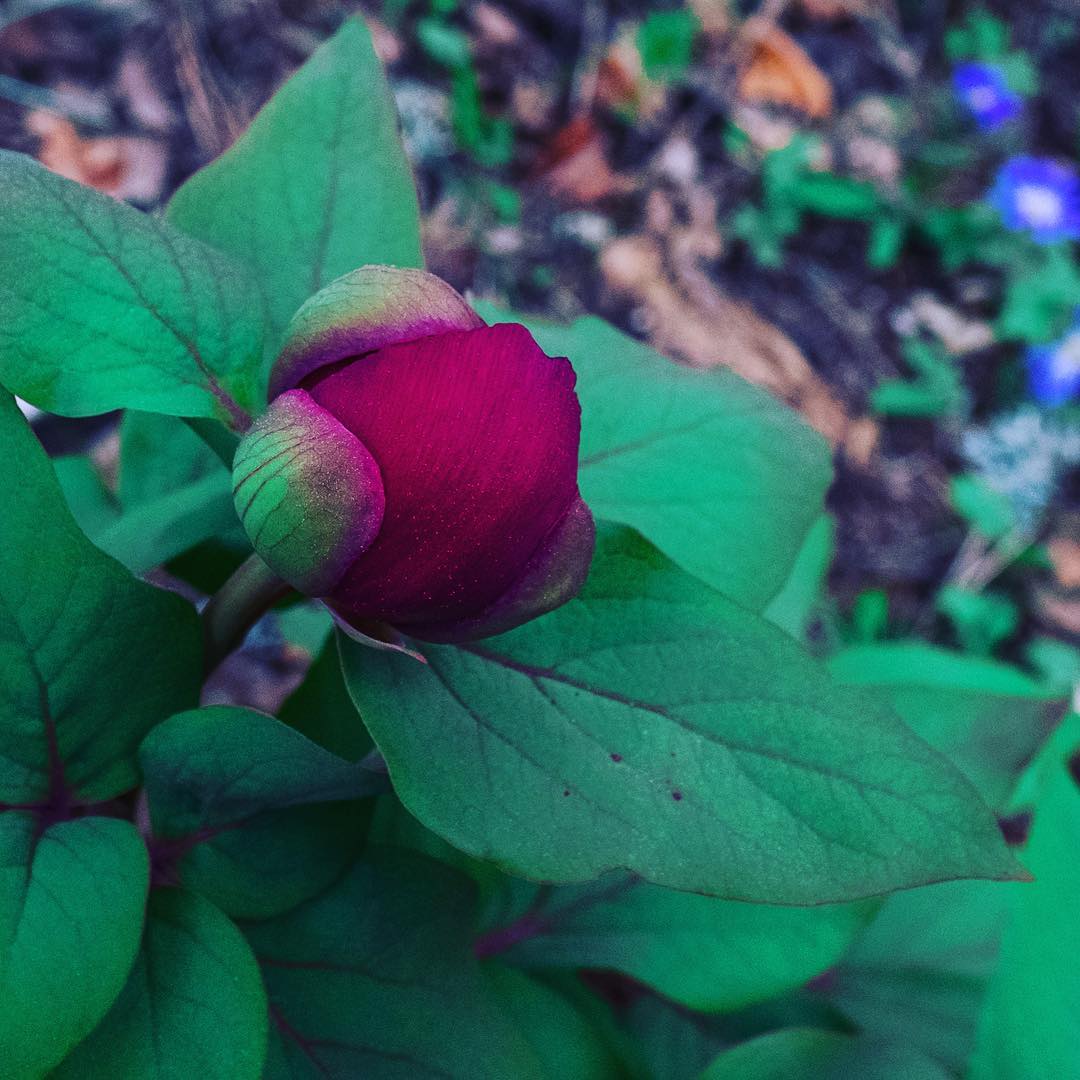 Random Social Media image