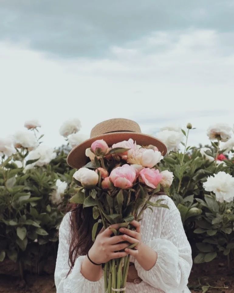Social media image
