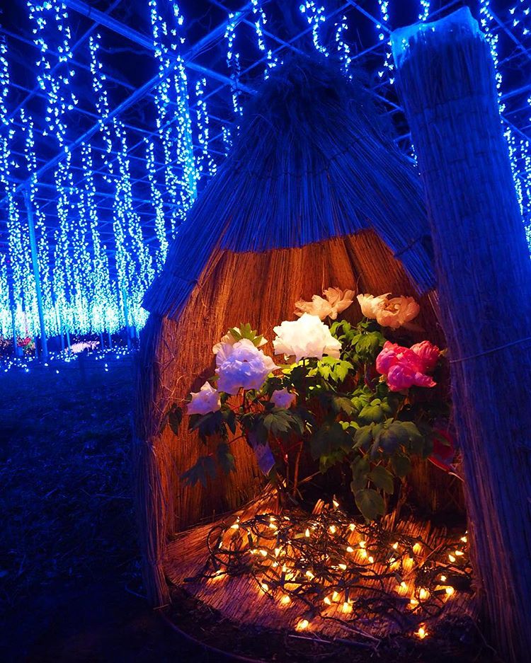 Random Social Media image