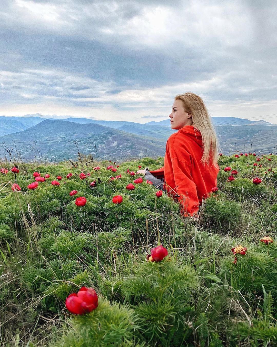 Random Social Media image