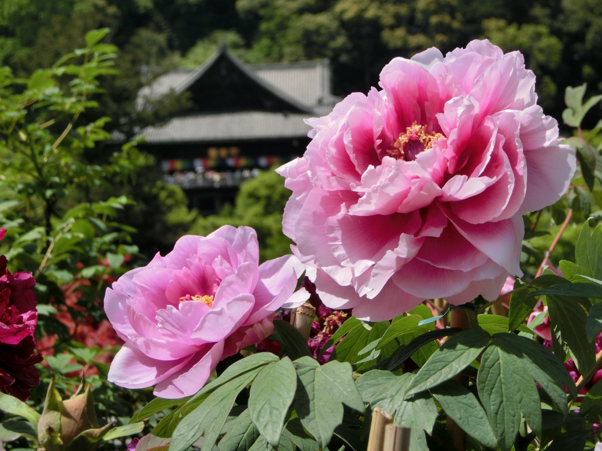 Random Social Media image