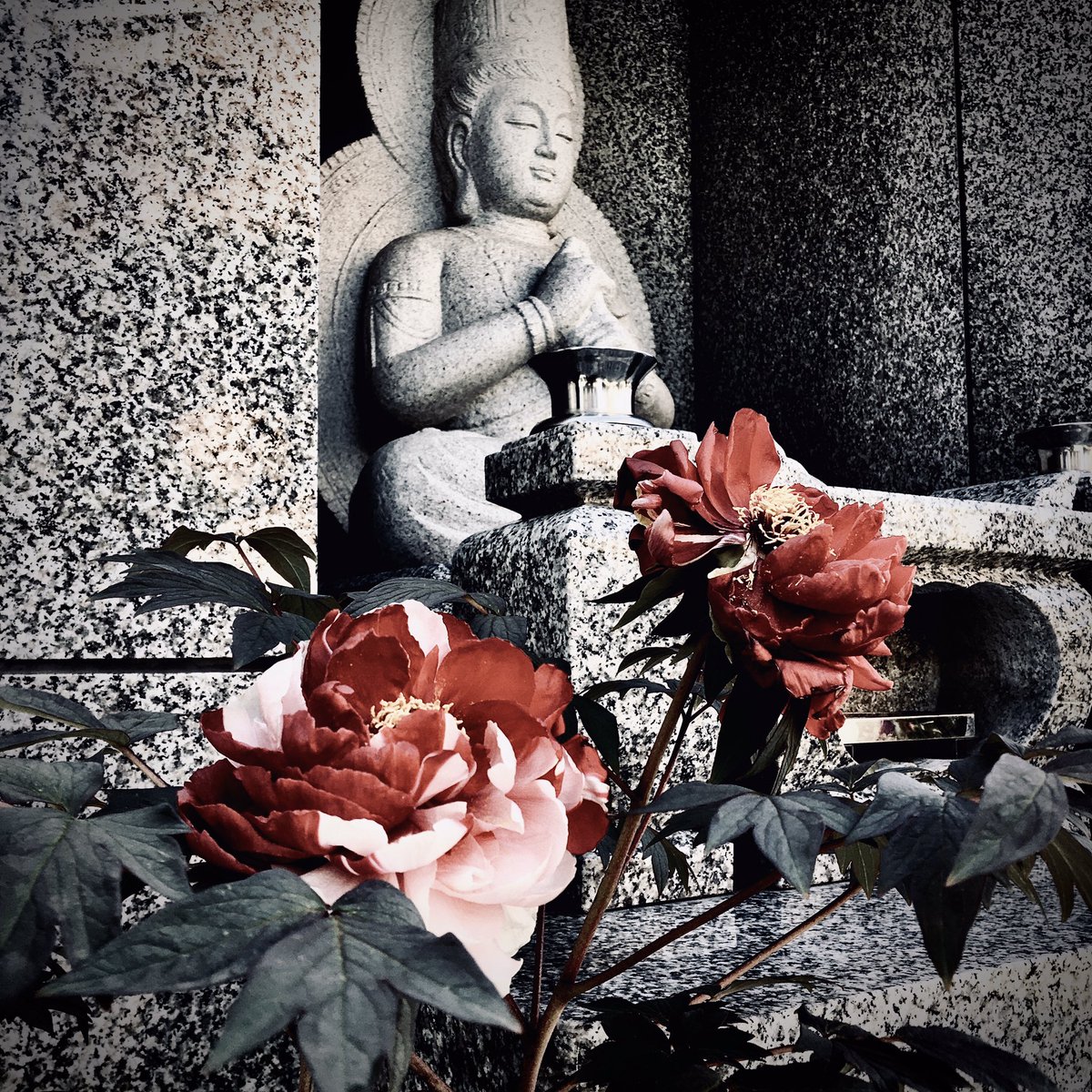 Random Social Media image