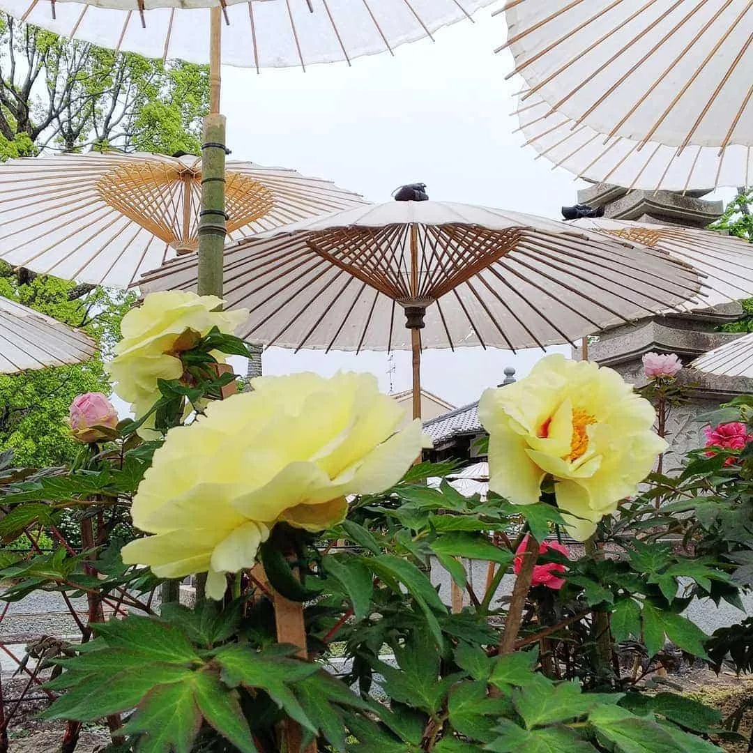 Random Social Media image