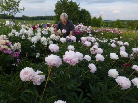 mama_08 - fiona12fiona12